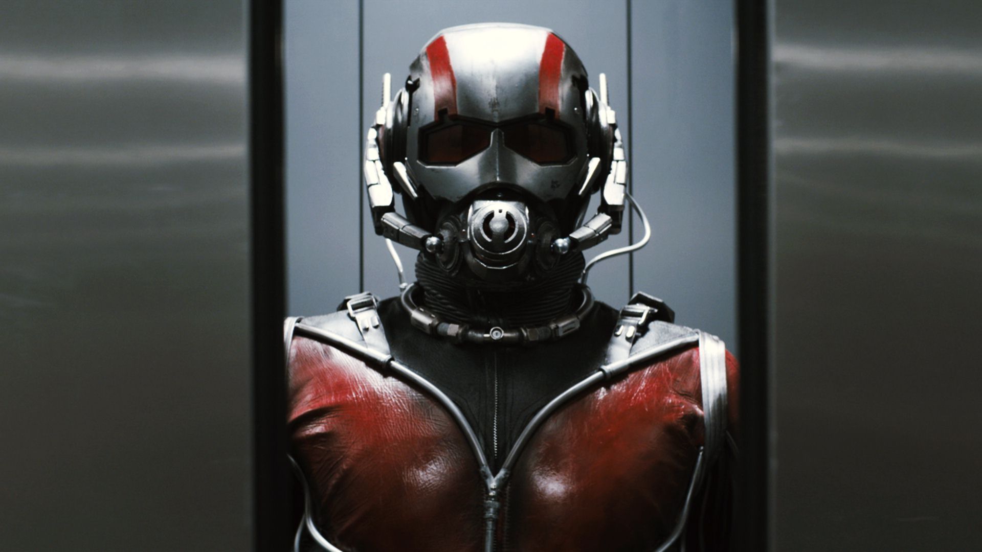 Phase 2 Of Our Tribute To Marvel S “ant Man” Shows Us That “heroes Don